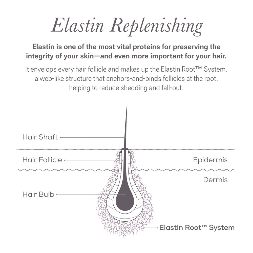 Nulastin FULL SIZE Lash Follicle Fortifying Serum - Picture 14 of 15